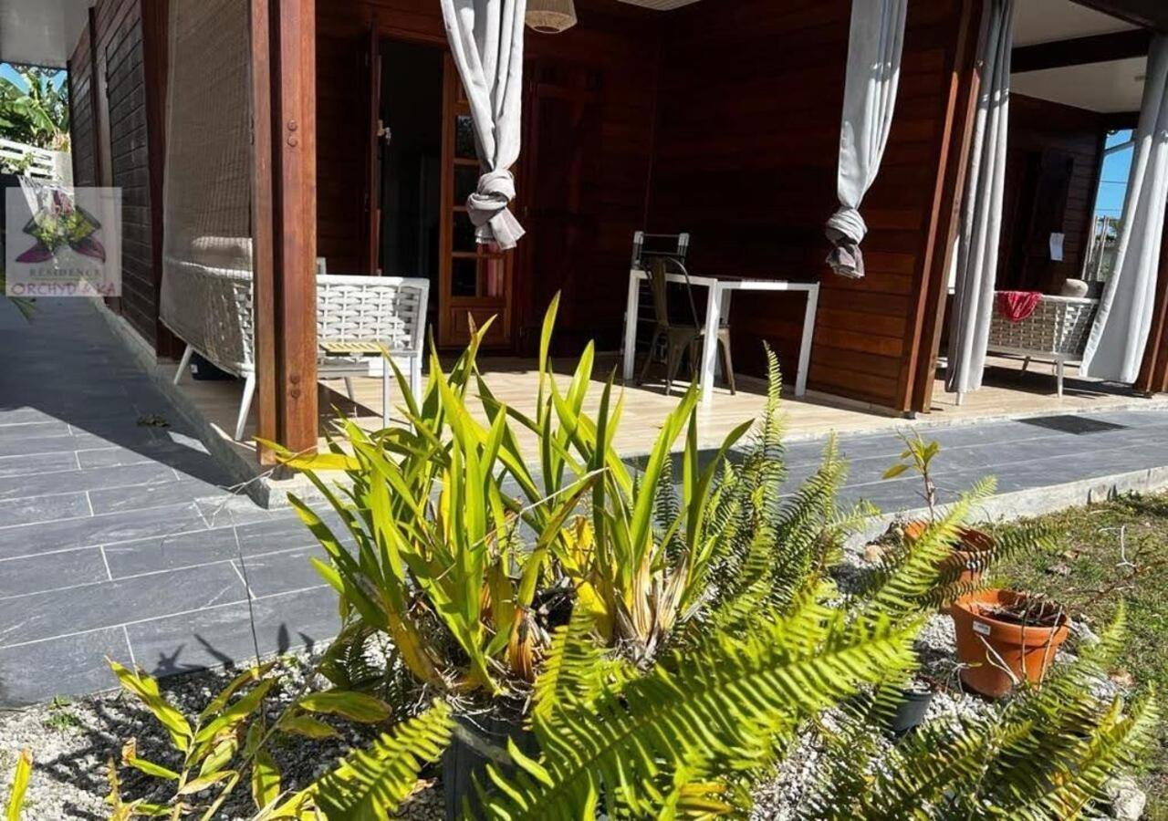 Piscine, Plages Bois Jolan Et Du Bourg, Jardin & Parking Prives, Sainte-Anne - Villas Orchyd & Ka 外观 照片